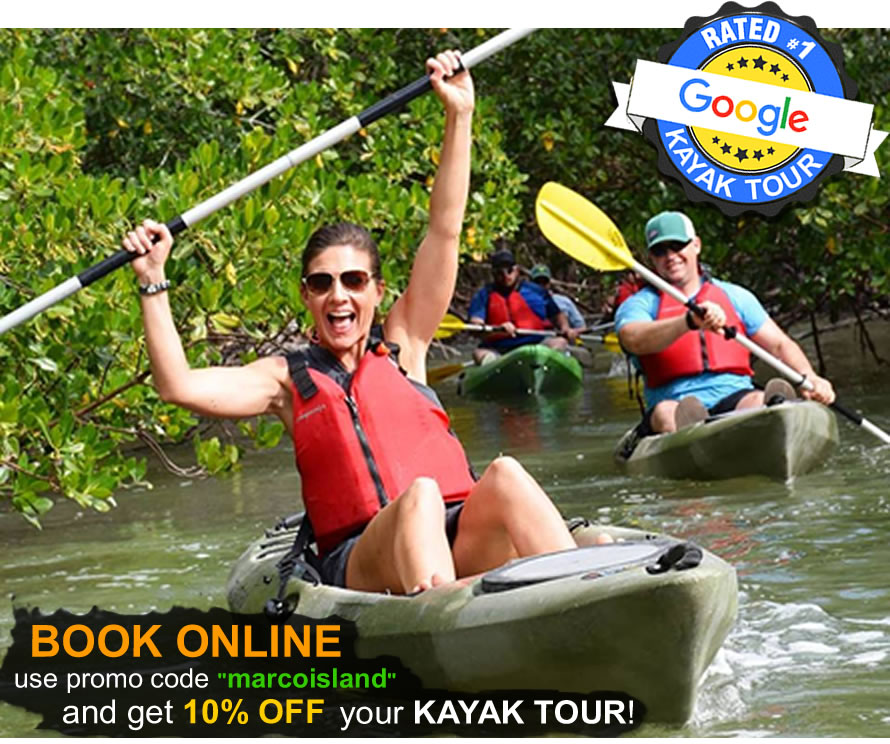 Book a Kayak Marco Island Tour
